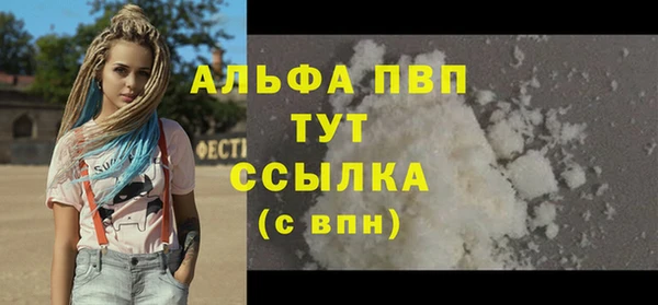 тгк Инсар