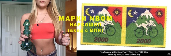 тгк Инсар