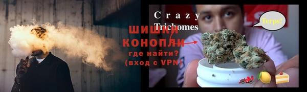 тгк Инсар