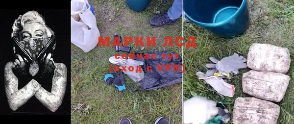 тгк Инсар
