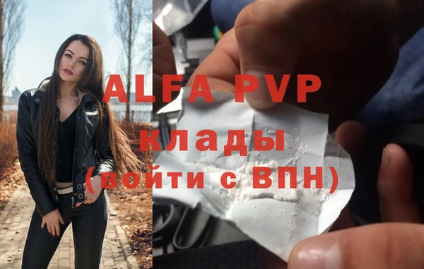 тгк Инсар