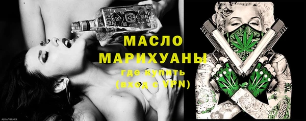 тгк Инсар
