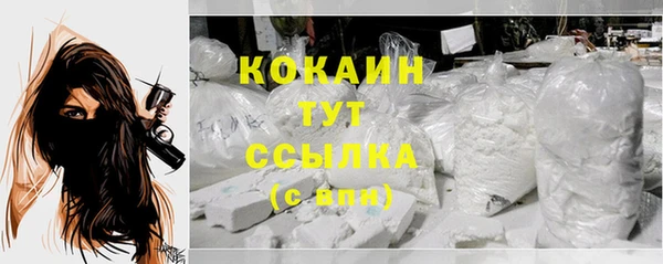 тгк Инсар